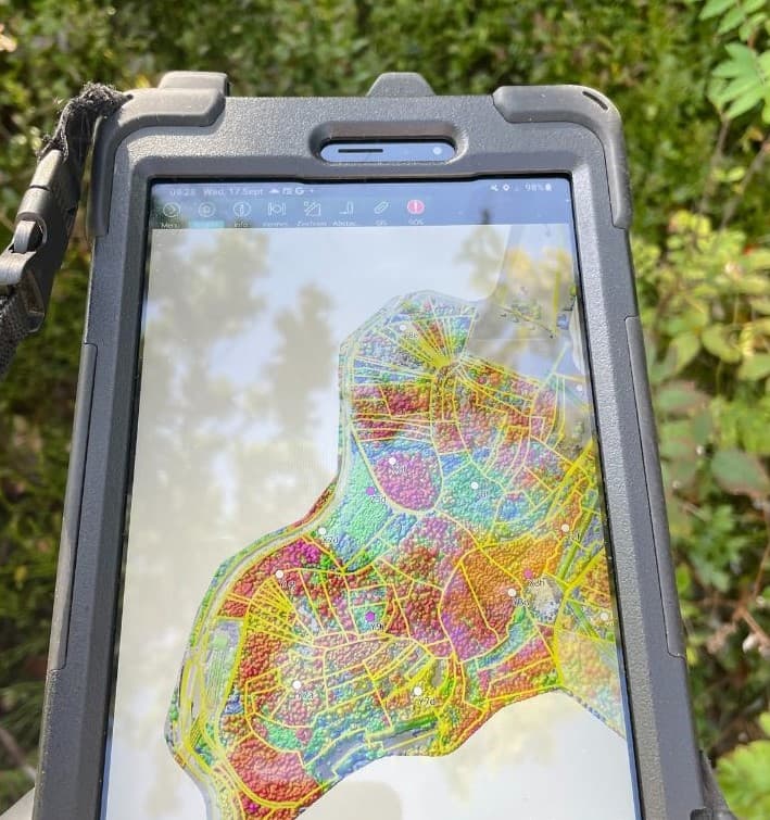 Forest Management Planning