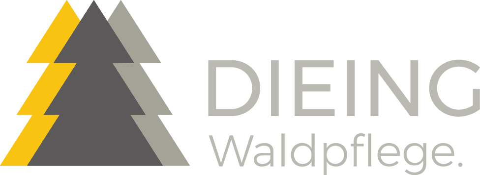 Gebrüder Dieing GbR | DIEING Waldpflege